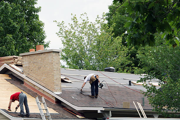 Best Residential Roofing Contractor  in Des Plaines, IL